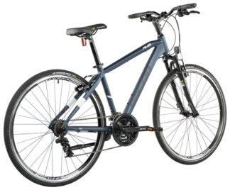 AWIS GENT,19", TIGER AZZURO