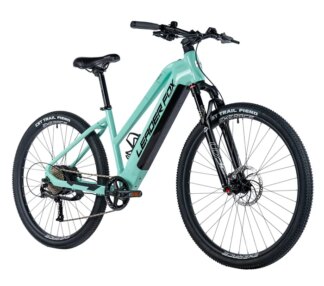 E-BIKE 29" ARIMO  LADY 16,5"-3, GREEN LIGHT (REAR MOTOR)