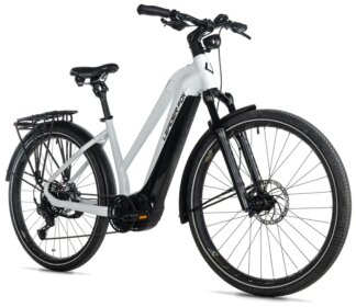 E-BIKE DIXON LADY 29",16,5"-2, WHITE SHINY (PANASONIC)