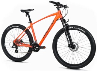 EVOLUTION 27.5, 20"-1, ORANGE MATT