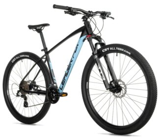 EVOLUTION 29, 20"-4, BLACK MATT/BLUE (2X8)