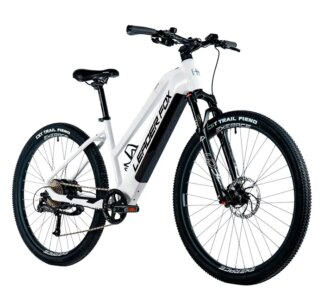 E-BIKE 29" ARIMO  LADY 19,5"-1 WHITE SHINY (REAR MOTOR)