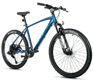 FACTOR BOY 16"-1, BLUE MATT