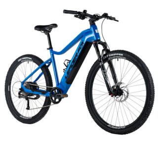 E-BIKE 29" ARIMO  GENT 19"-2  BLUE (REAR MOTOR)