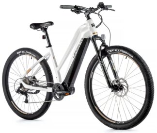 E-BIKE SWAN LADY 29", 20"-1, WHITE SHINY (MODEST)