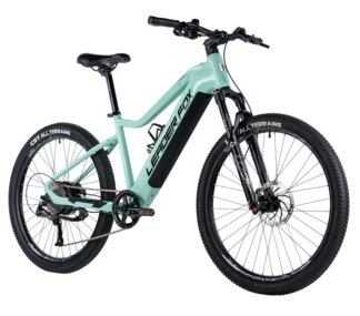 E-BIKE 27,5" ARIMO  GENT 19,5"-1, GREEN LIGHT (REAR MOTOR)