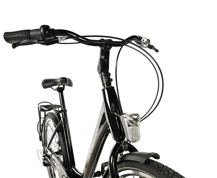 DOMESTA LADY 17", BLACK SHINY - Obrázek 3