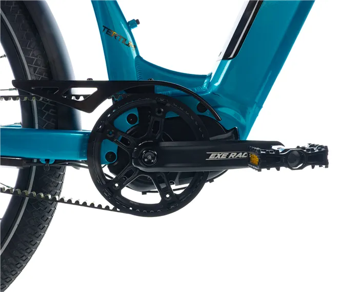 E-BIKE 28" TERTIUM CITY 16,5"-2, BLUE LIGHT (M420/NEXUS 8, BELT) - Obrázek 5
