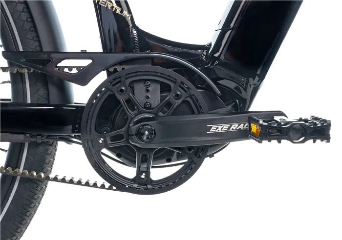 E-BIKE 28" TERTIUM CITY 18"-1, BLACK SHINY (M420/NEXUS 8, BELT) - Obrázek 5
