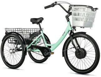 CARGO - TRICYCLE BORMIO, GREEN LIGHT