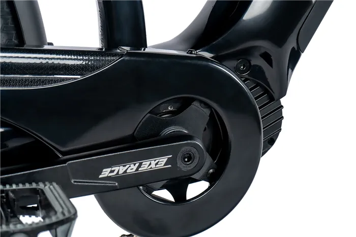 E-BIKE 28" DENVER GENT 20,5"-1, BLACK SHINY (M300) - Obrázek 3