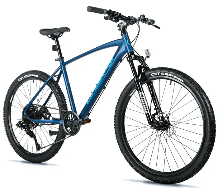 FACTOR BOY 20"-1, BLUE MATT