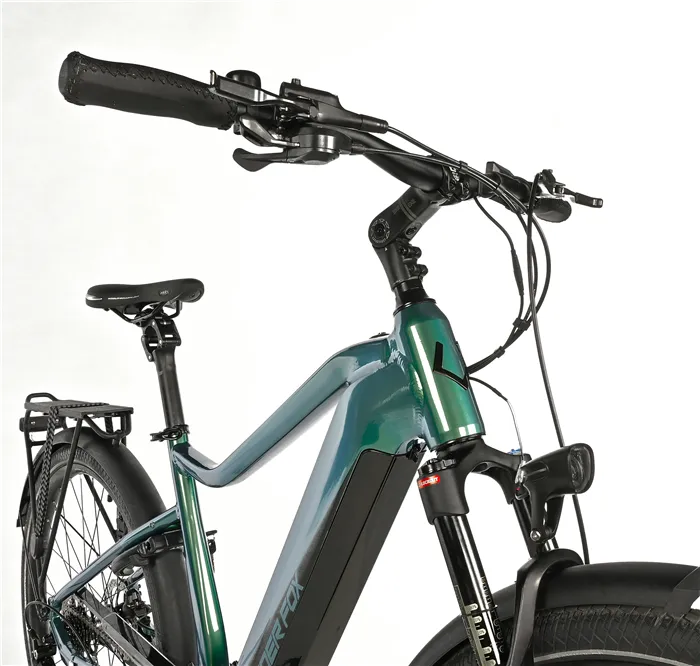 E-BIKE 28" LUCAS GENT 20,5"-1, GREEN BOTTLE (M420) - Obrázek 3